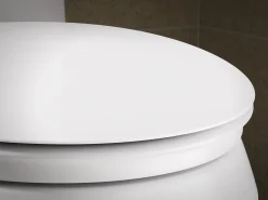 ReadyLatch® Quiet-Close™ elongated toilet seat^Kohler Hot