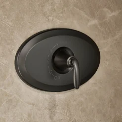 Remodel Rite-Temp® shower trim kit, 2.5 gpm^Kohler Outlet