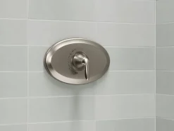 Remodel Rite-Temp® valve trim^Kohler Best