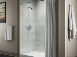 Remodel Rite-Temp® valve trim^Kohler Best