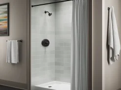 Remodel Rite-Temp® valve trim^Kohler Best