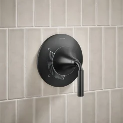 Rite-Temp® shower trim kit, 1.75 gpm^Kohler New