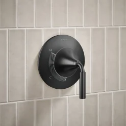 Rite-Temp® shower trim kit, 2.5 gpm^Kohler