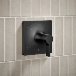 Rite-Temp® shower trim kit, 1.75 gpm^Kohler New