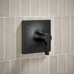 Rite-Temp® shower trim kit, without showerhead^Kohler Discount