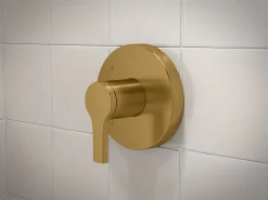 Rite-Temp® valve trim^Kohler Best