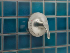 Rite-Temp® valve trim^Kohler
