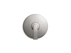 Rite-Temp® valve trim with lever handle^Kohler