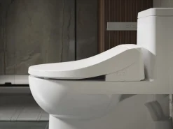 Round-front bidet toilet seat with remote control^Kohler Best
