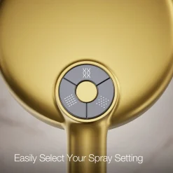 Round three-function handshower, 1.75 gpm^Kohler Hot