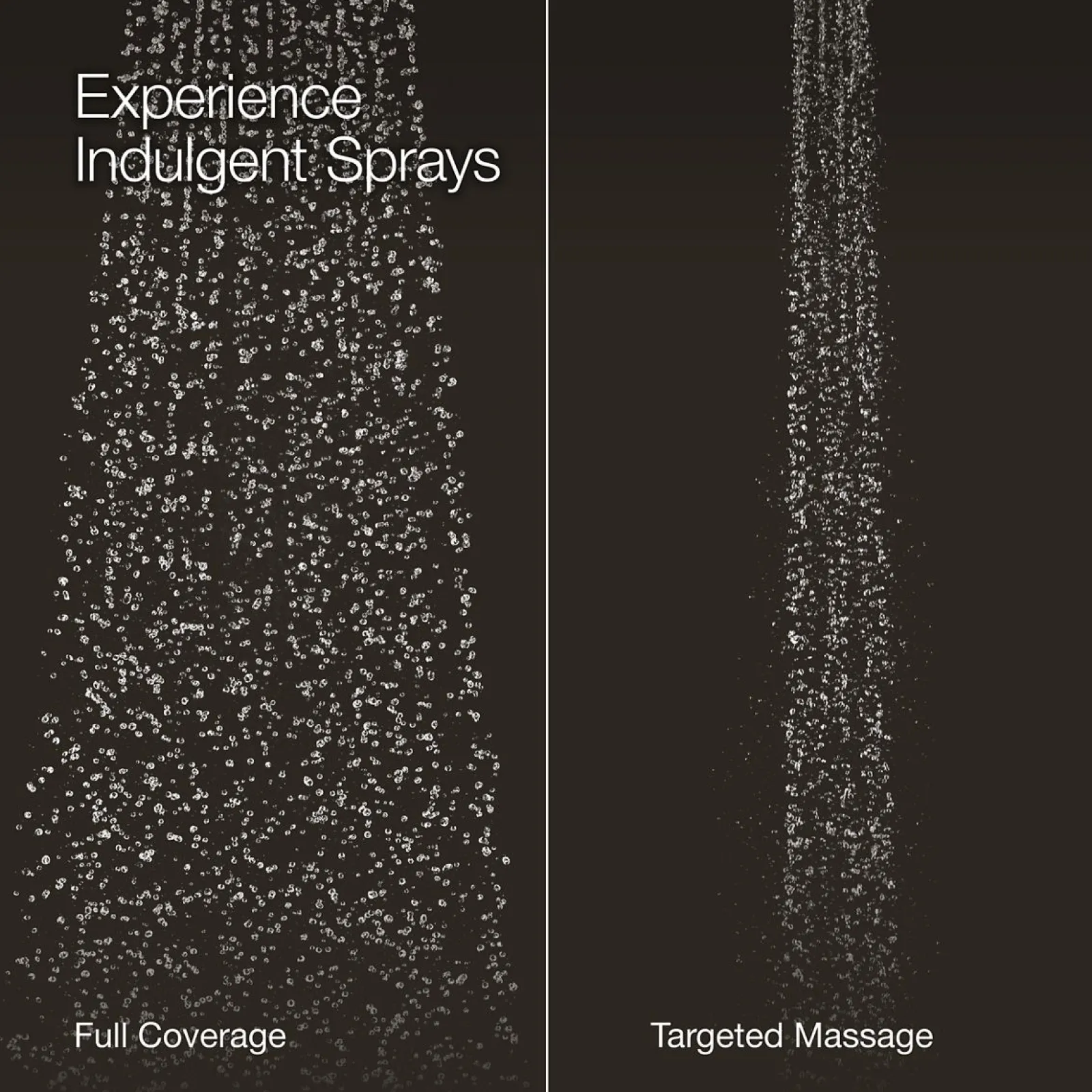 Round two-function handshower, 1.75 gpm^Kohler Online