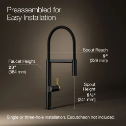 Semi-professional kitchen sink faucet with two-function sprayhead^Kohler Best