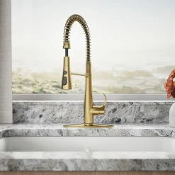 Semi-professional kitchen sink faucet with three-function sprayhead^Kohler Best