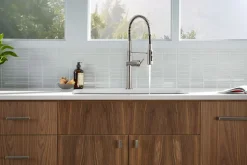 Semi-professional kitchen sink faucet with three-function sprayhead^Kohler New