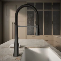 Semi-professional kitchen sink faucet with three-function sprayhead^Kohler New