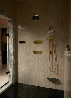 Shower arm and flange^Kohler Clearance