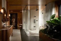 Shower speakers^Kohler Discount