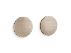 Shower speakers^Kohler Discount