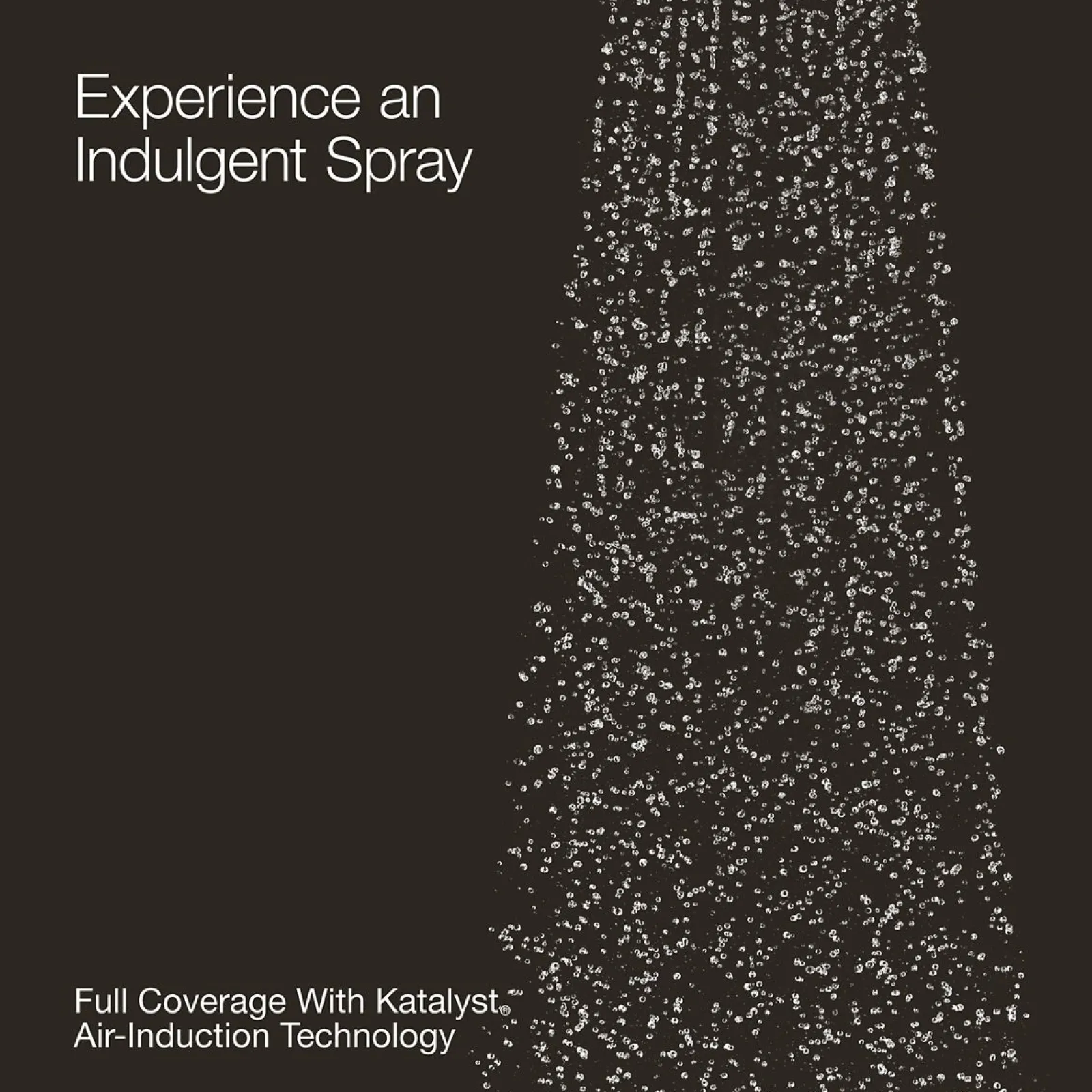 Single-function handshower, 1.75 gpm^Kohler