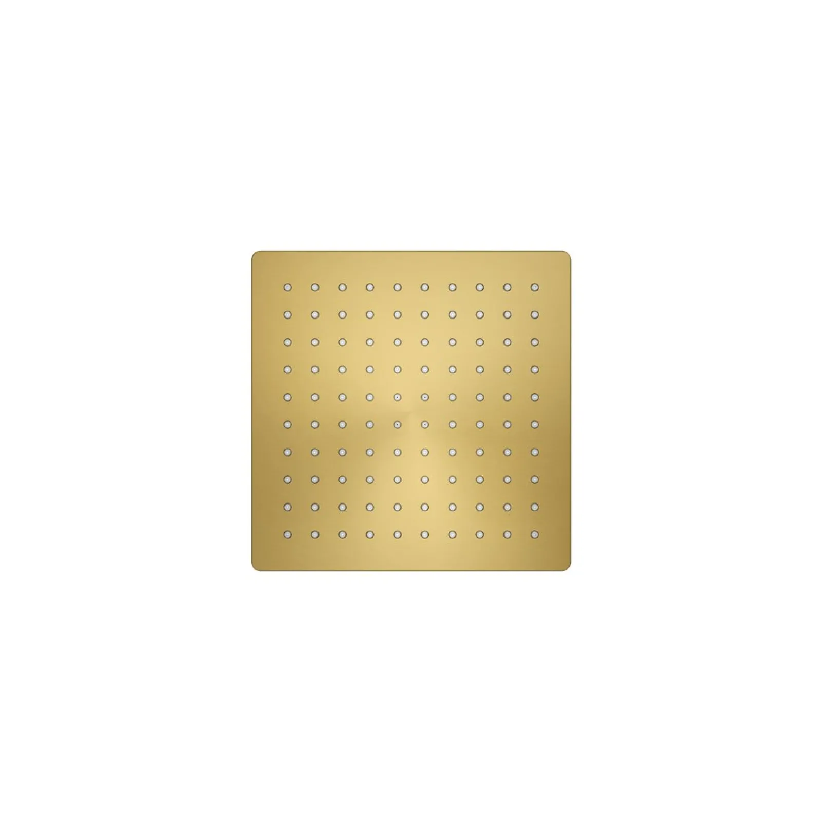 8" single-function rainhead, 1.75 gpm^Kohler Online