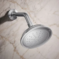 Single-function showerhead, 2.5 gpm^Kohler Outlet