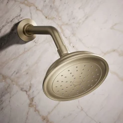 Single-function showerhead, 2.5 gpm^Kohler Outlet