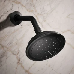 Single-function showerhead, 2.5 gpm^Kohler Outlet