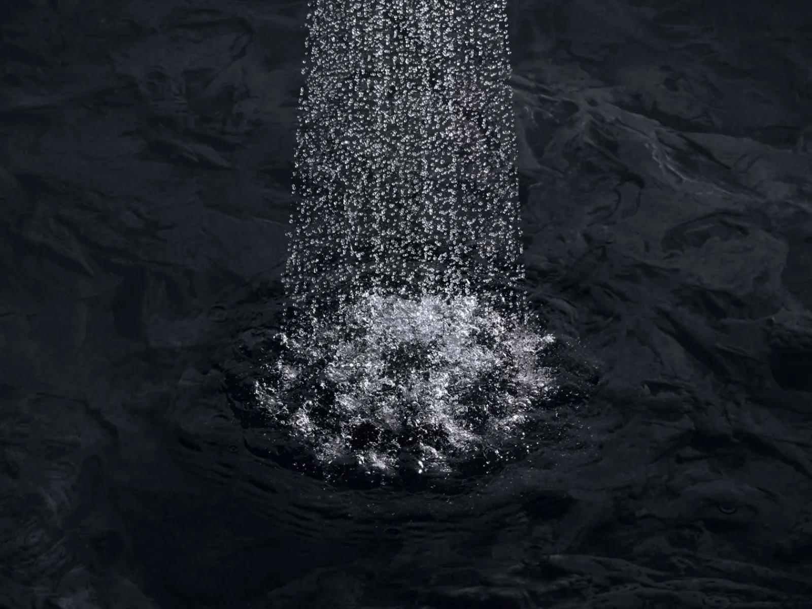 Single-function showerhead, 1.5 gpm^Kohler Clearance