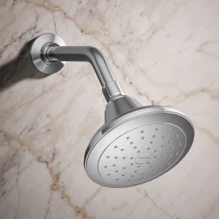 Single-function showerhead, 2.5 gpm^Kohler New