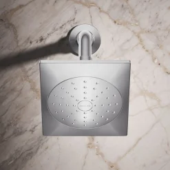 Single-function showerhead, 1.75 gpm^Kohler Outlet