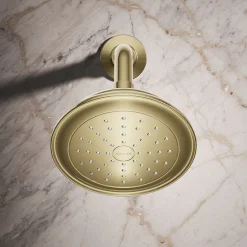 Single-function showerhead, 1.75 gpm^Kohler Outlet