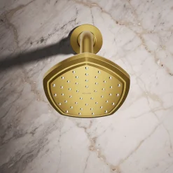 Single-function showerhead, 2.5 gpm^Kohler Online