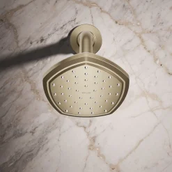 Single-function showerhead, 2.5 gpm^Kohler Online