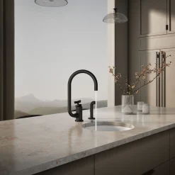 Single-handle bar sink faucet with two-function extended-reach spout and side sprayer^Kohler Outlet