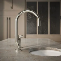Single-handle bar sink faucet with two-function extended-reach spout and side sprayer^Kohler Outlet