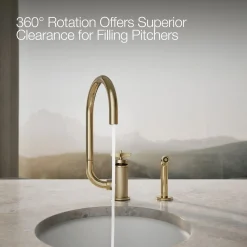 Single-handle bar sink faucet with two-function extended-reach spout and side sprayer^Kohler Outlet