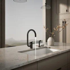 Single-handle kitchen sink faucet with two-function extended-reach spout and side sprayer^Kohler Discount