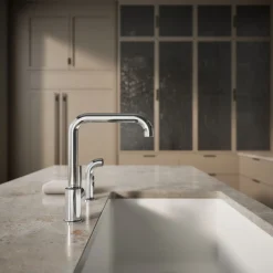 Single-handle kitchen sink faucet with side sprayer^Kohler Discount