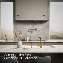 Single-handle kitchen sink faucet with side sprayer^Kohler Discount