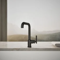 Single-handle kitchen sink faucet^Kohler Best