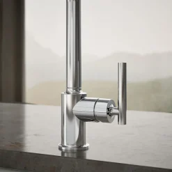 Single-handle kitchen sink faucet^Kohler Best