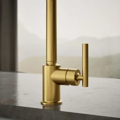 Single-handle kitchen sink faucet^Kohler Best
