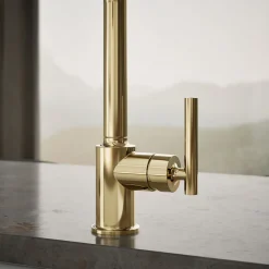 Single-handle kitchen sink faucet^Kohler Best