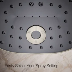 Three-function showerhead, 2.5 gpm^Kohler Best