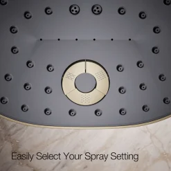 Three-function showerhead, 2.5 gpm^Kohler Best