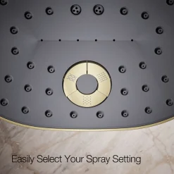 Three-function showerhead, 2.5 gpm^Kohler Best