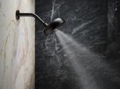 Three-function showerhead, 2.5 gpm^Kohler Best