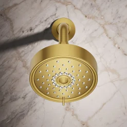 Three-function showerhead, 1.75 gpm^Kohler Outlet