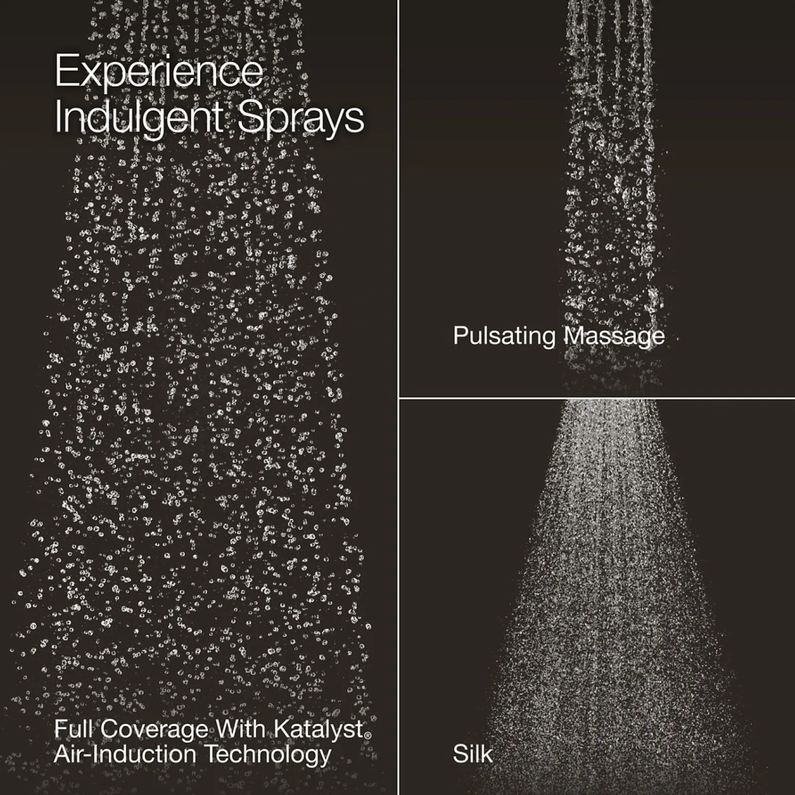 Three-function showerhead, 1.75 gpm^Kohler Outlet