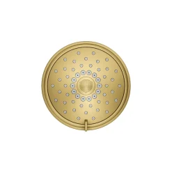 Three-function showerhead, 2.5 gpm^Kohler Discount